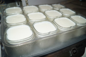 Йогурт, приготовленный в йогуртнице