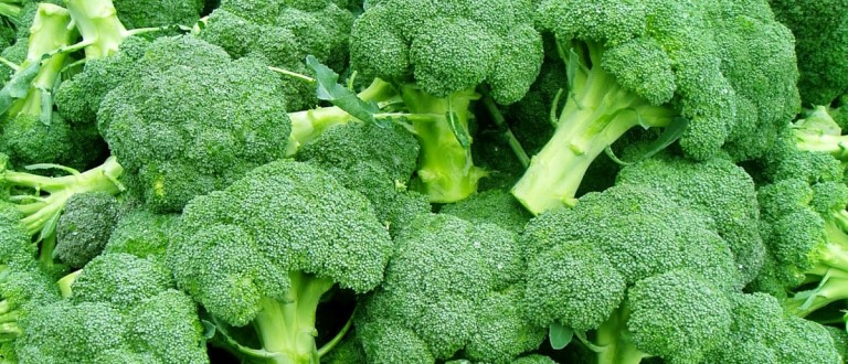 chem-polezna-brokkoli