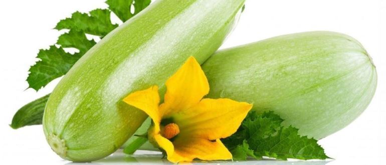 green zucchini with flowers