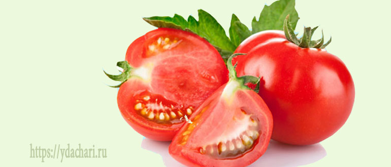 chem-polezny-pomidory